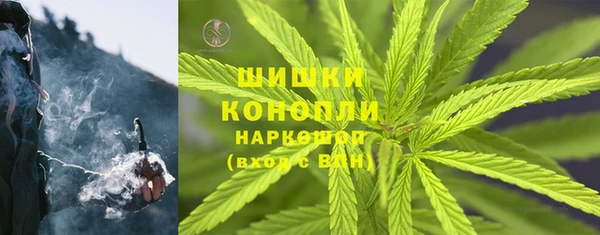 спиды Арсеньев